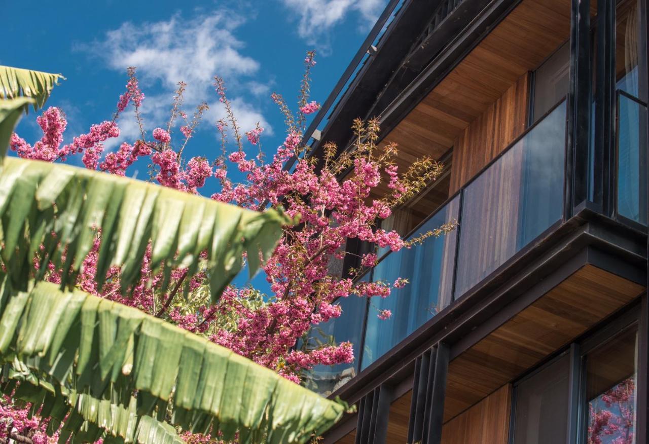 Yakamoz Erhai Hotel 다리 외부 사진